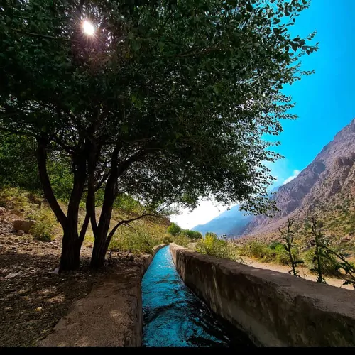 تصویر 14 - ویلا چناران(2) در  یاسوج