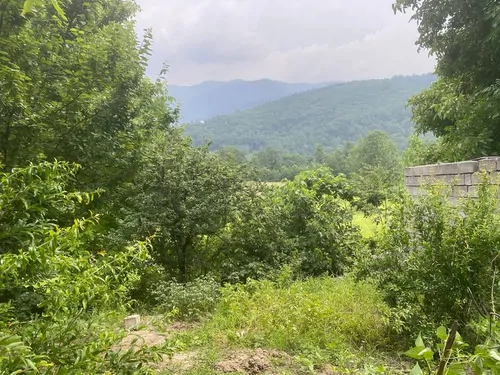 تصویر 2 - ویلا ویلا باغ حیاط دار180 متری با ویوی جنگل در جای دنج در زیراب