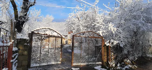 تصویر 15 - کلبه جنگلی رضائی (4) در  ماسال