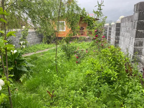 تصویر 18 - کلبه جنگلی لیام (روستای سیاهدول) در ماسال