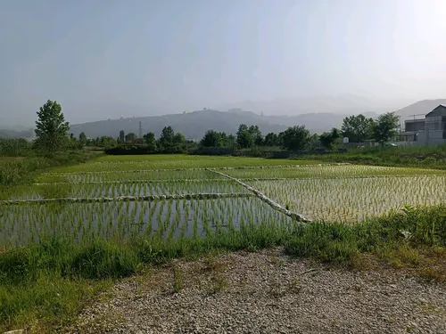 تصویر 19 - ویلا پارسا (10) در کتالم