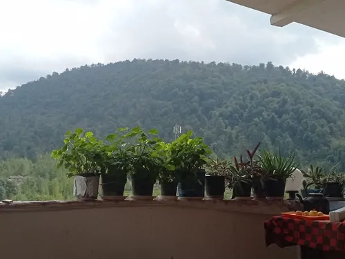 تصویر 2 - آپارتمان جنگل در شیرگاه