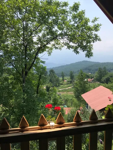 تصویر 12 - کلبه هلنا در سوادکوه