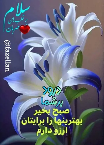تصویر 2 - آپارتمان ساف در رضوانشهر