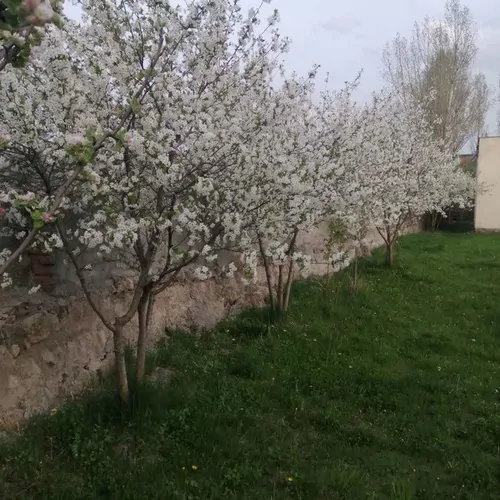 تصویر 15 - ویلا  دشت سبلان  در  اردبیل