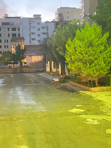 تصویر 17 - آپارتمان حس خوب در  سرخ رود