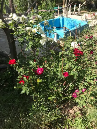 تصویر 5 - روستایی و عشایری راکشه گاردن در  فیروزکوه 