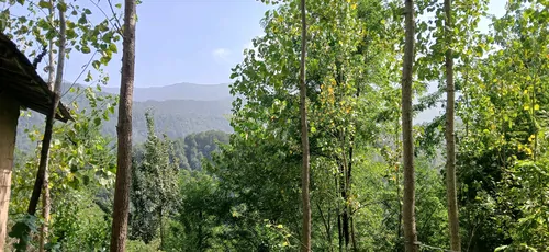 تصویر 5 - ویلا ویلا تو دل کوه در شفت