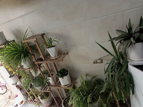 تصویر 4 - آپارتمان ویلا با ویو زیبا ودلنشین در نجف آباد