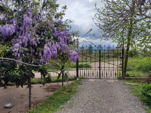 تصویر 2 - کلبه مزرعه فرگل در رشت