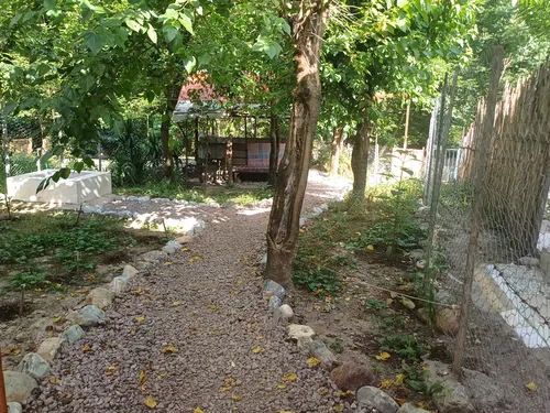 تصویر 27 - کلبه چوبی دامون در ماسال