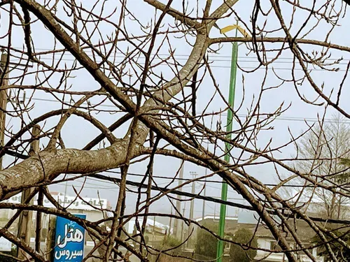 تصویر 22 - ویلا استخردار آبگرم بهزادی در  رودسر