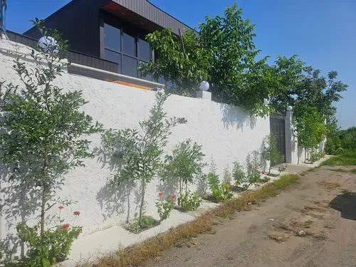 تصویر 17 - کلبه چوبی محمدی در انزلی