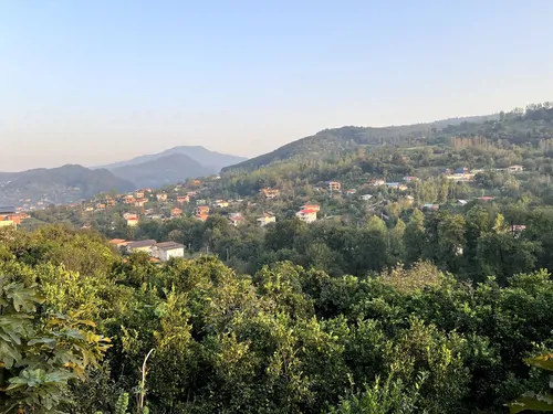 تصویر 16 - ویلا جنگلی شهنواز در  شیرگاه