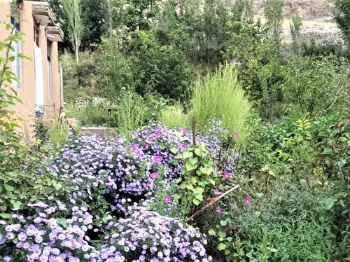 تصویر 2 - اقامتگاه بوم‌گردی چشمه چکاب(واحد2) در مانه و سملقان