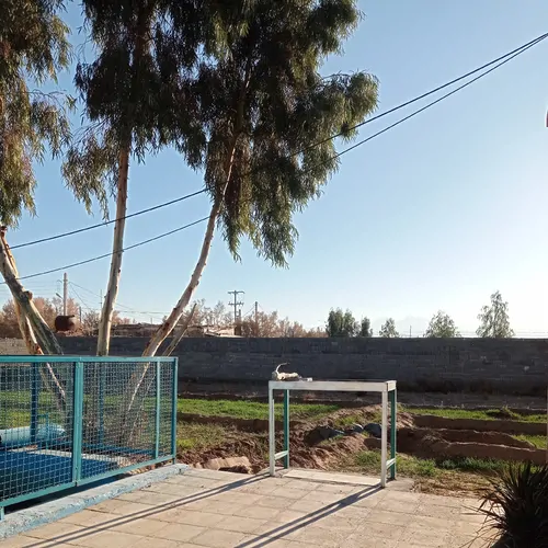 تصویر 12 - اقامتگاه بوم‌گردی نورا سیازگه در  ابوزیدآباد