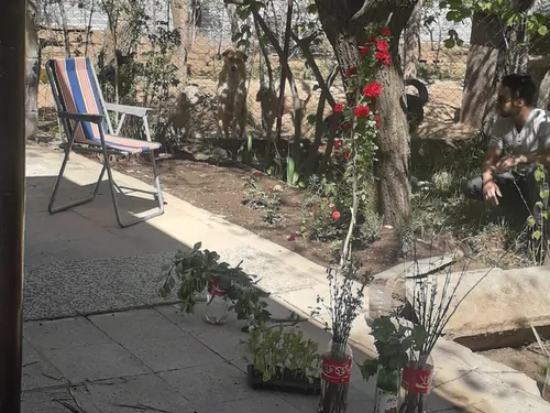 تصویر 2 - ویلا باغ در همدان