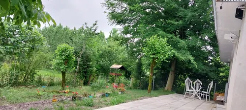 تصویر 4 - ویلا ویلای تکخواب ترانه روستای کچا در رشت