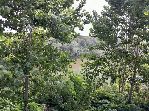 تصویر 3 - ویلا ویلا استخردار ۳خواب چهار فصل مهدی در ساری