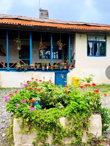 تصویر 3 - کلبه سنتی ویدار در  سنگر