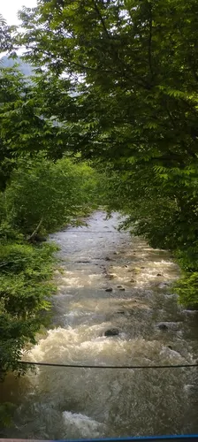 تصویر 27 - کلبه جنگلی ماه عسل نزدیک رودخانه در ماسال