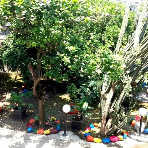 تصویر 17 - ویلا باغ افسانه در  رامسر