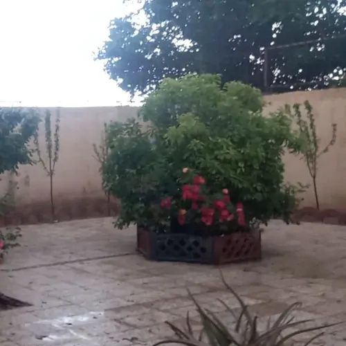 تصویر 2 - ویلا باغچه در کرج
