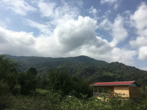 تصویر 4 - خانه تلار در ماسال