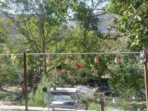 تصویر 5 - آپارتمان اقامتگاه باغ بهشت در  سوادکوه