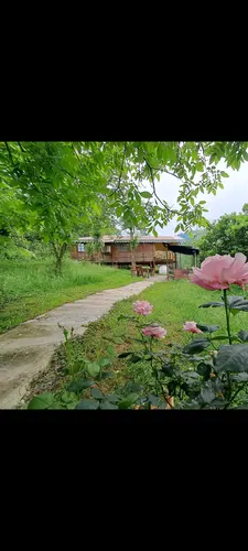 تصویر 15 - کلبه چوبی سعدی در  ماسال