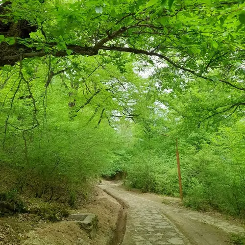 تصویر 3 - کلبه پارک جنگلی نسوم آزادمهر در سوادکوه