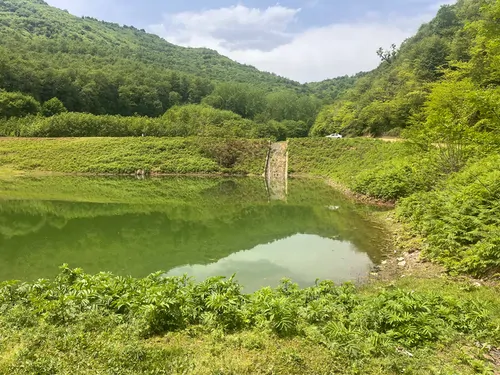 تصویر 62 - ویلا جنگلي مادر  در  ماسال