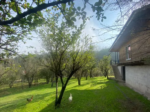 تصویر 17 - کلبه چوبی برادران شریفی (1) در ماسال