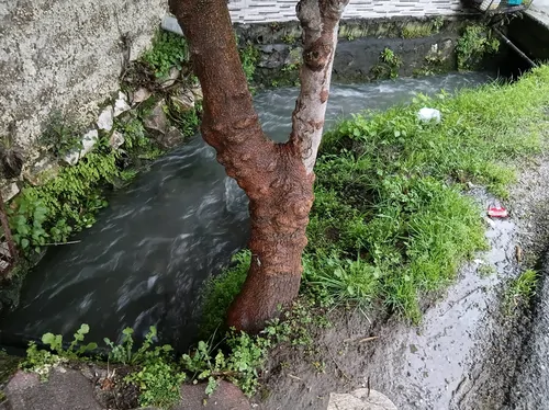 تصویر 13 - ویلا بهاران عشاق در نوشهر