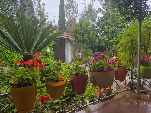 تصویر 22 - ویلا باغ استخردار آبگرم بهار نارنج با بیلیارد در  محمودآباد