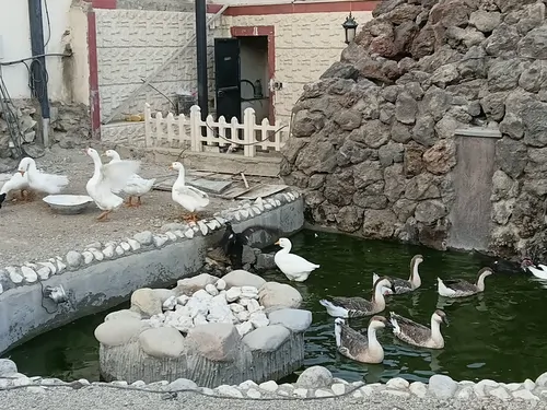 تصویر 21 - ویلا استخردار آبگرم عمارت رویال با بیلیارد مهرآباد در  رودهن