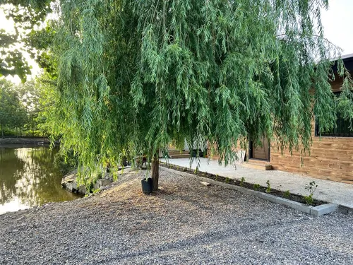 تصویر 13 - کلبه كومه مرداب  در  انزلی