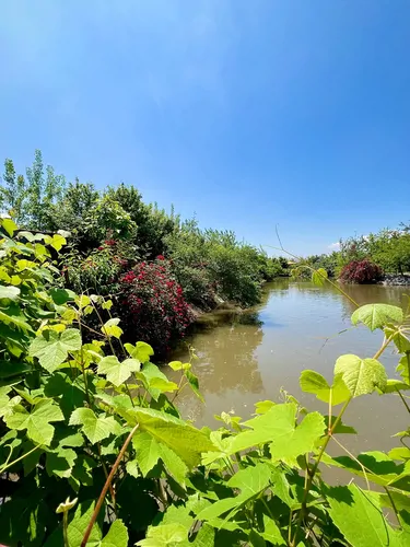تصویر 31 - کلبه سوئیسی دایی فرامرز در کوچصفهان
