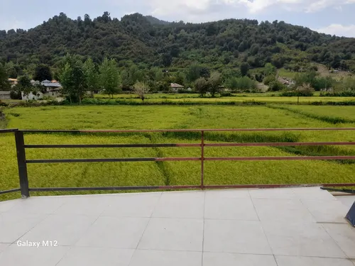 تصویر 3 - کلبه کلبهدلنشین در ماسال