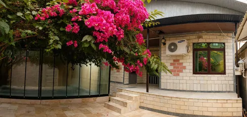تصویر 2 - ویلا ویلای استخردار دربست آبانیس در تالش