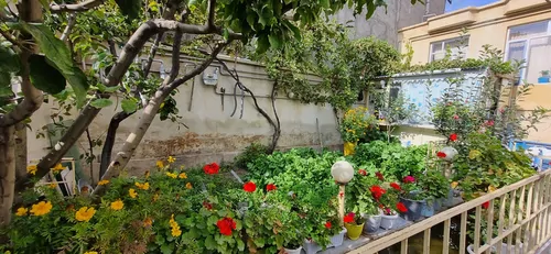 تصویر 3 - خانه خانه دربستی فرجی۱ در سرعین