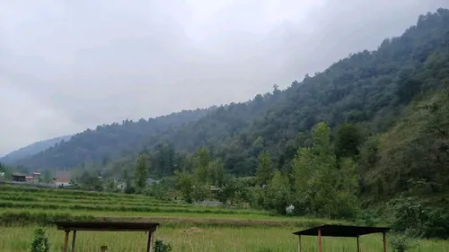 تصویر 5 - ویلا خانه ویلایی کنار جنگل و رودخانه در شیرگاه
