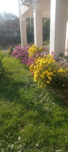 تصویر 15 - خانه ویلایی اردویی (2) در تالش