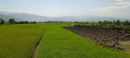 تصویر 15 - کلبه چوبی افشار در  اسالم