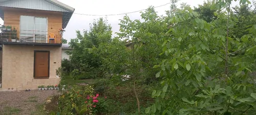 تصویر 4 - کلبه کلبه کاملا دربست در منطقه ای خوش آب وهوا در ماسال