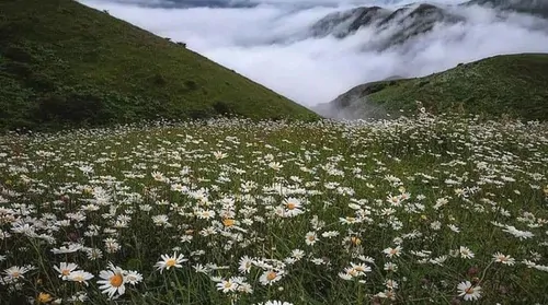 تصویر 5 - کلبه اتاق کرسی در  اردبیل
