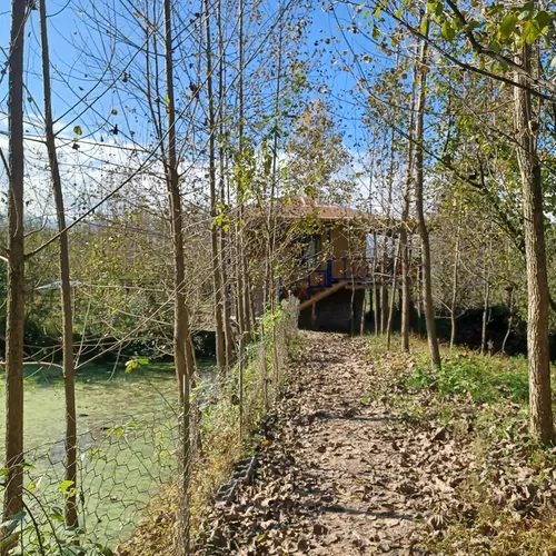 تصویر 11 - کلبه چوبی جنگلی وارش در بابل