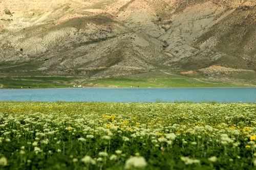 تصویر 3 - ویلا بومک در فیروزکوه 
