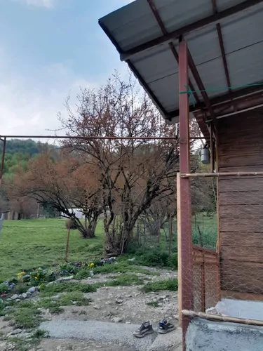 تصویر 11 - ویلا حسنخانی  در  ماسال