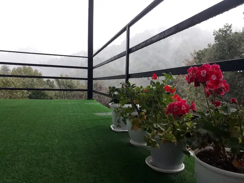 تصویر 9 - ویلا جنگلی تبسم در ماسال